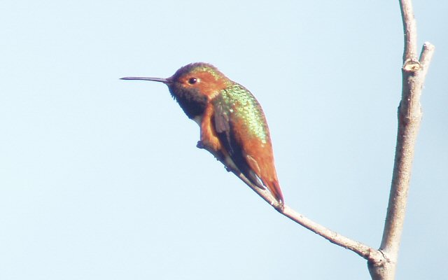 �2004 Steve Sosensky - 2004.mm.dd, Location, CA