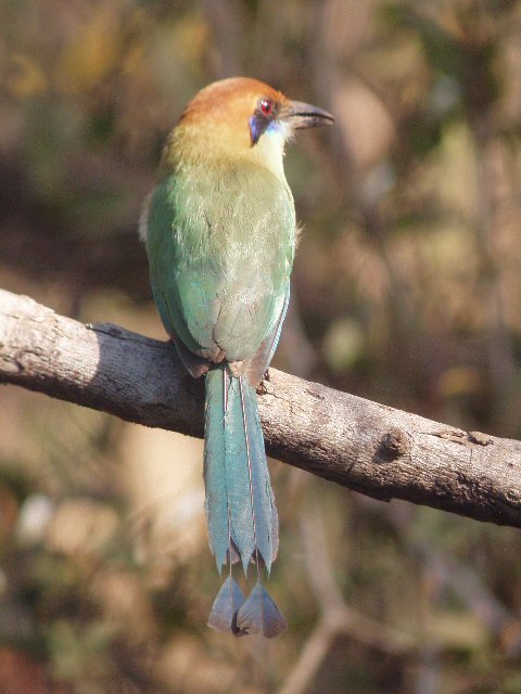 �2004 Steve Sosensky - 2004.mm.dd, Location, CA