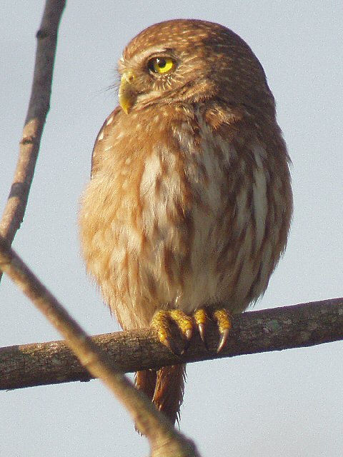 �2004 Steve Sosensky - 2004.03.30, San Blas, Mexico